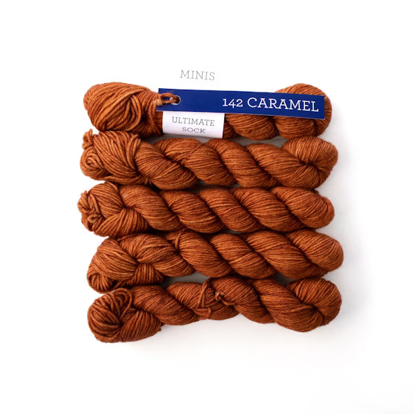 Ultimate Sock Minis Malabrigo