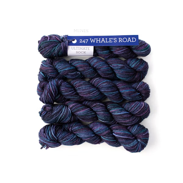 Ultimate Sock Minis Malabrigo