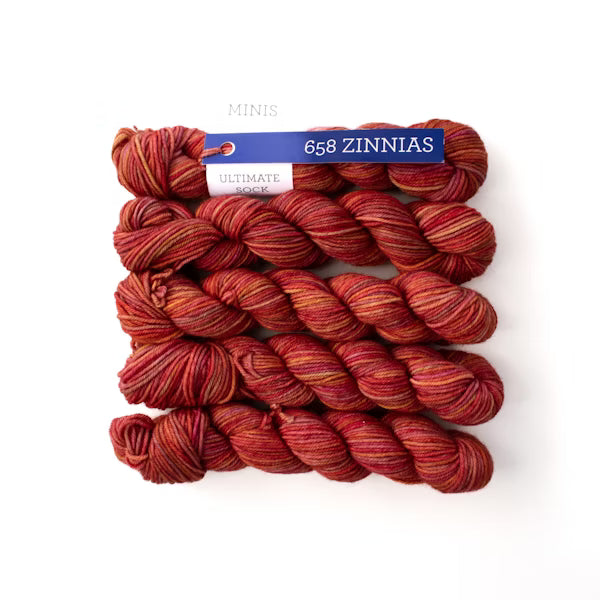 Ultimate Sock Minis Malabrigo