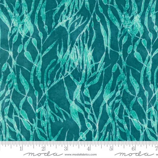 Serena Shores by Robin Pickens - Moda🟢