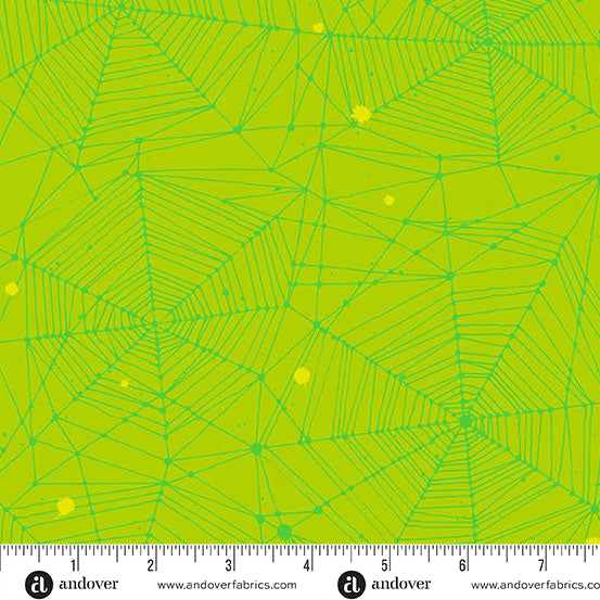 40 by Giucy Giuce for EQS