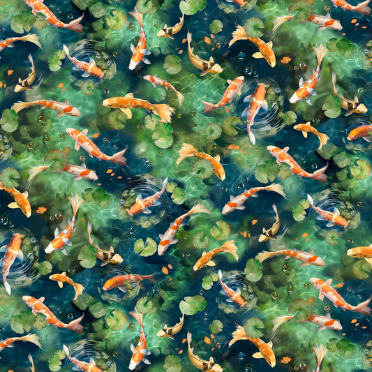 P&B - Koi Pond by Clint Eagar🔵