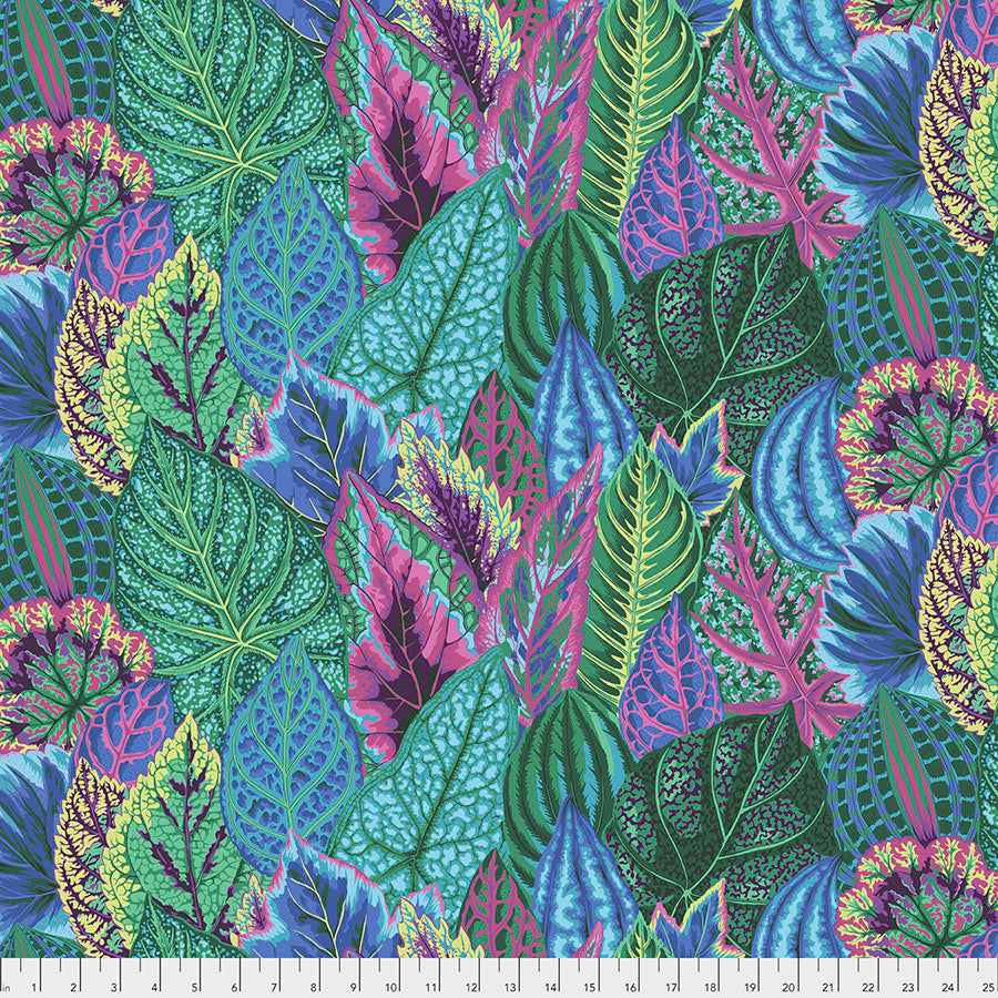 Kaffe Fassett Collective
