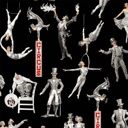 Michael Miller - A Night at The Circus🔵