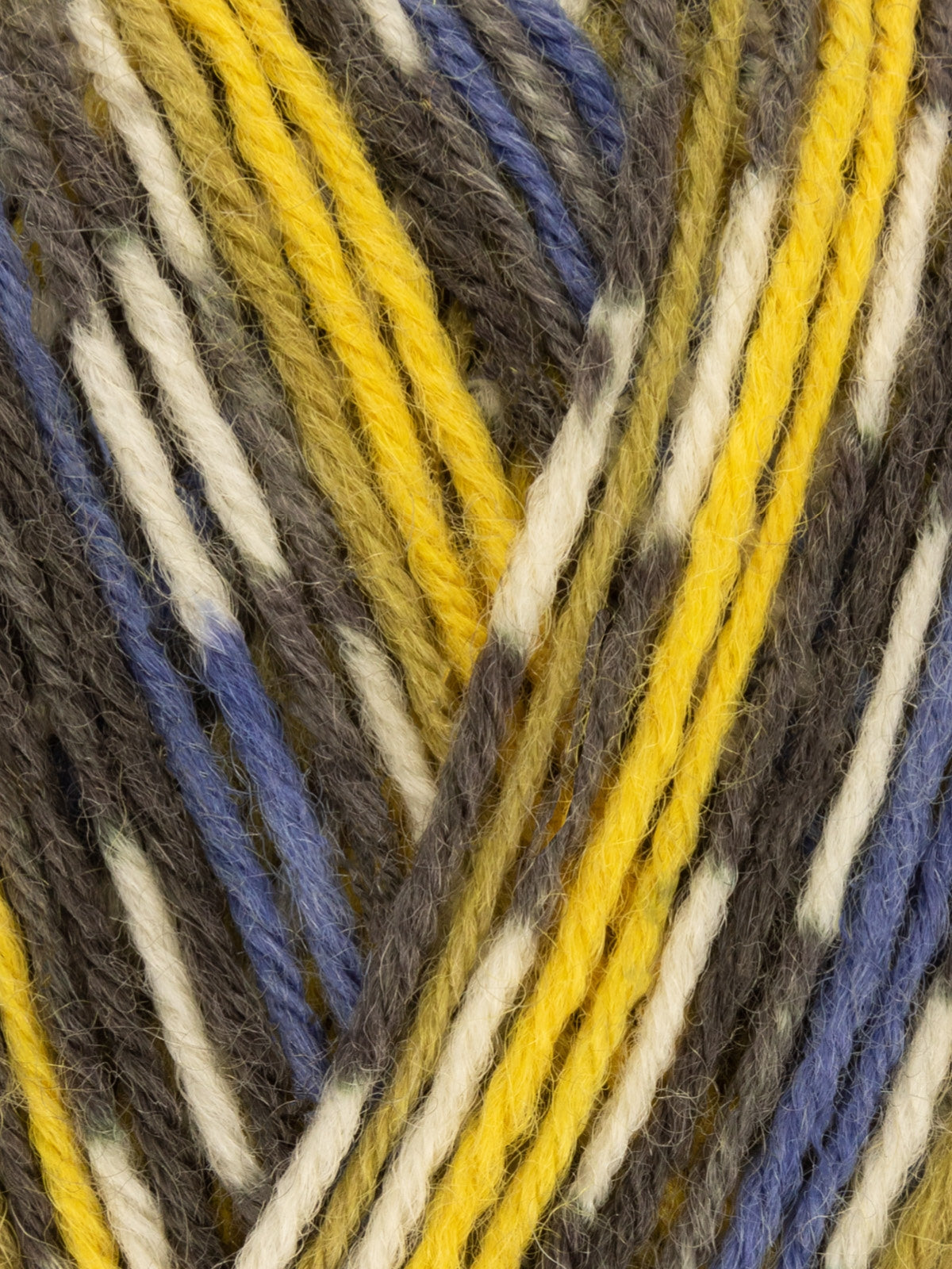 West Yorkshire Spinners - Country Birds Yarn - Signature 4ply