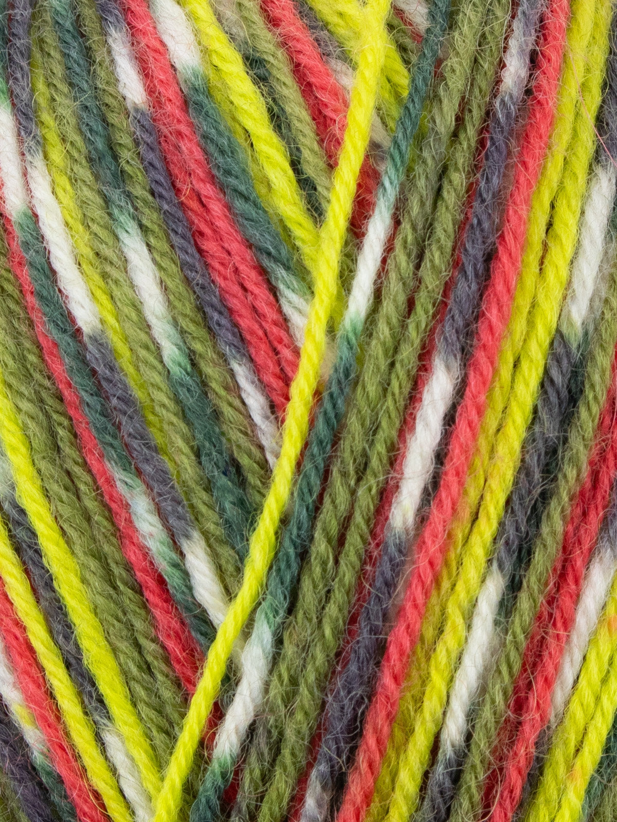West Yorkshire Spinners - Country Birds Yarn - Signature 4ply