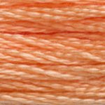 DMC 'Stranded Cotton' 3800-5200π΅