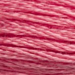 DMC 'Stranded Cotton' 3800-5200π΅