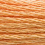 DMC 'Stranded Cotton' 3800-5200π΅