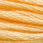 DMC 'Stranded Cotton' 3800-5200π΅