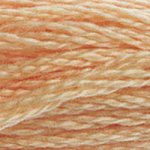 DMC 'Stranded Cotton' 3800-5200π΅