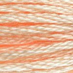 DMC 'Stranded Cotton' 0900-0999