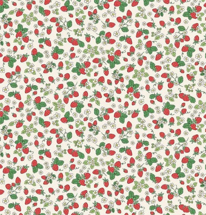 Fabric -  Makower misc.