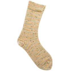 Sock Spray Print - 4ply by Rico
