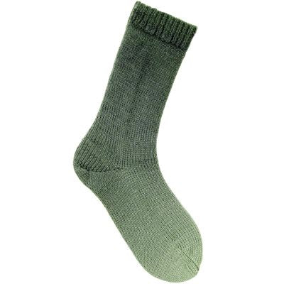 Dégradé Sock 6ply By Rico