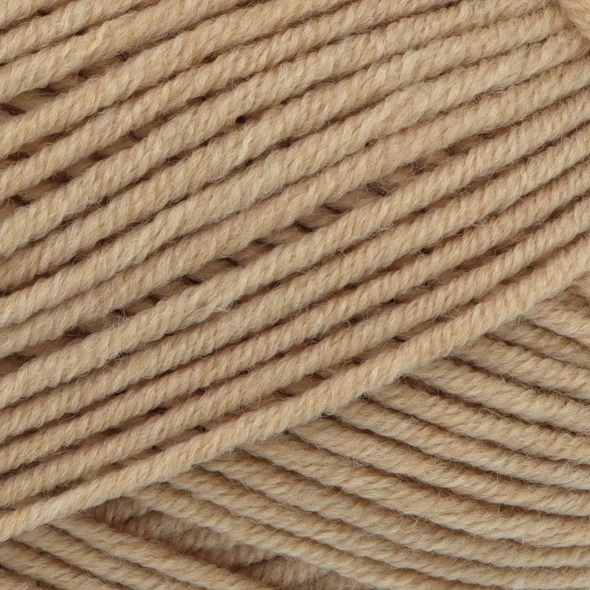 Little Lamb DK by King Cole