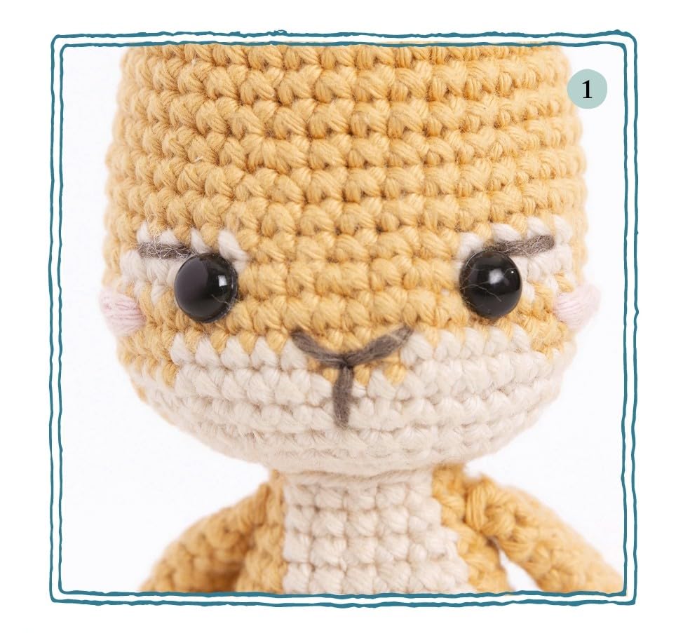 Peter Rabbit Crochet Kit by Carla Mitrani