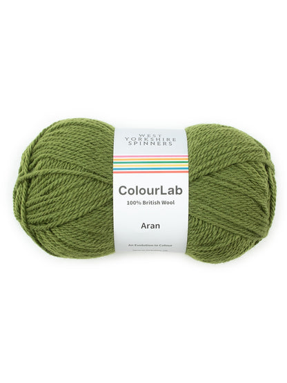 WYS ColourLab Aran