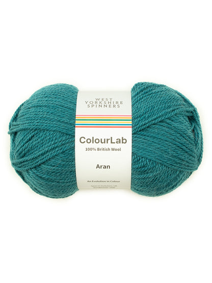 WYS ColourLab Aran