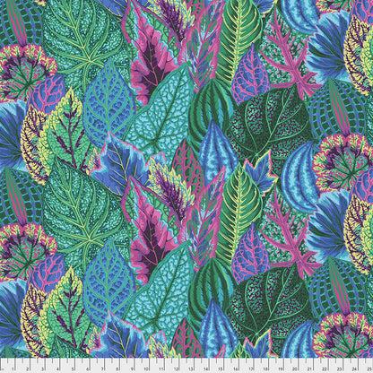 Kaffe Fassett Collective