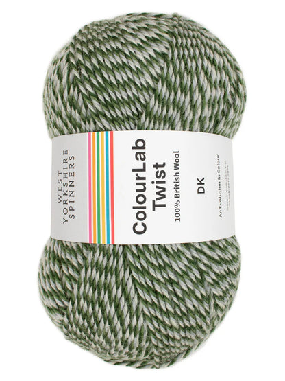 Colourlab Twist DK by West Yorkshire Spinners